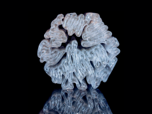 Glass 3D Printed Coral