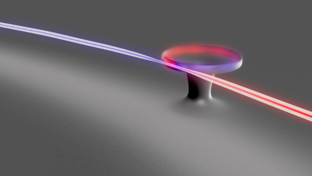 microdisc