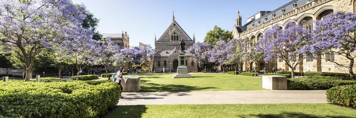 view of the North Terrace campus