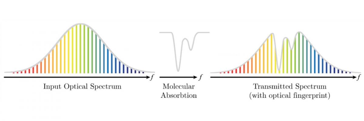Molecular Absorption