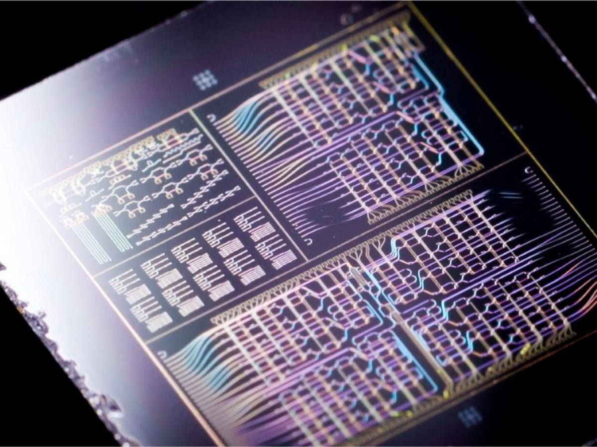 Image of a purple chip