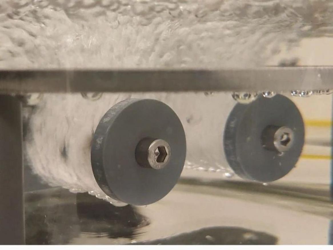 Plasma Activated Water