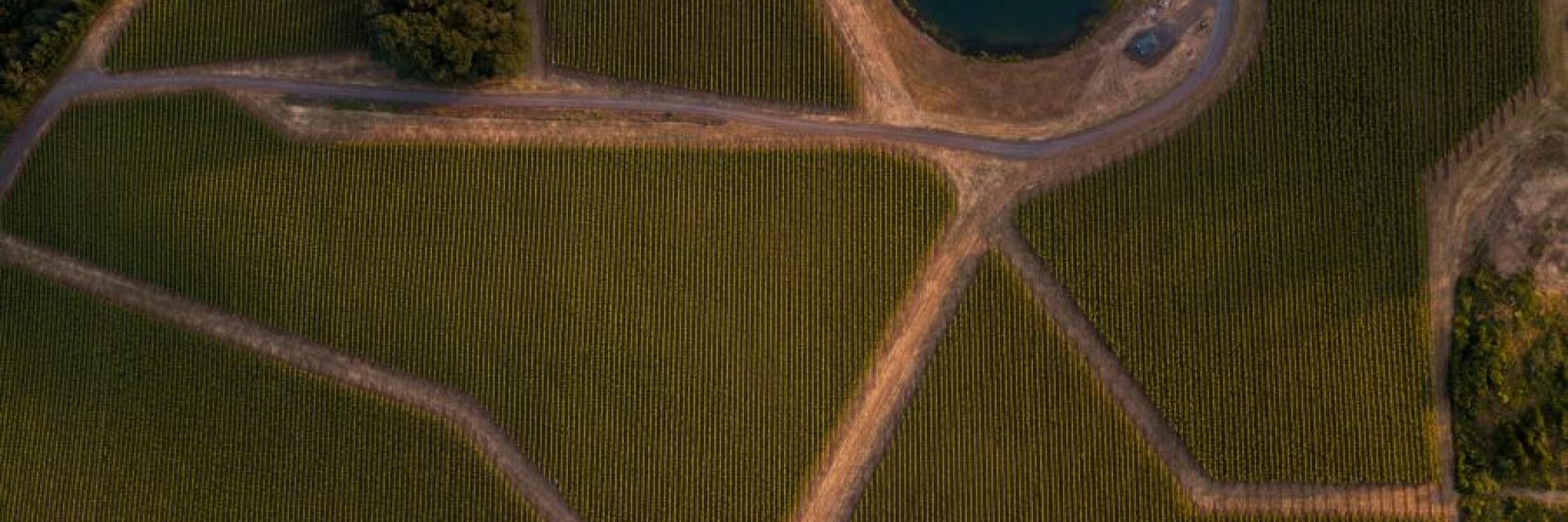Sustainability Spotlight Series