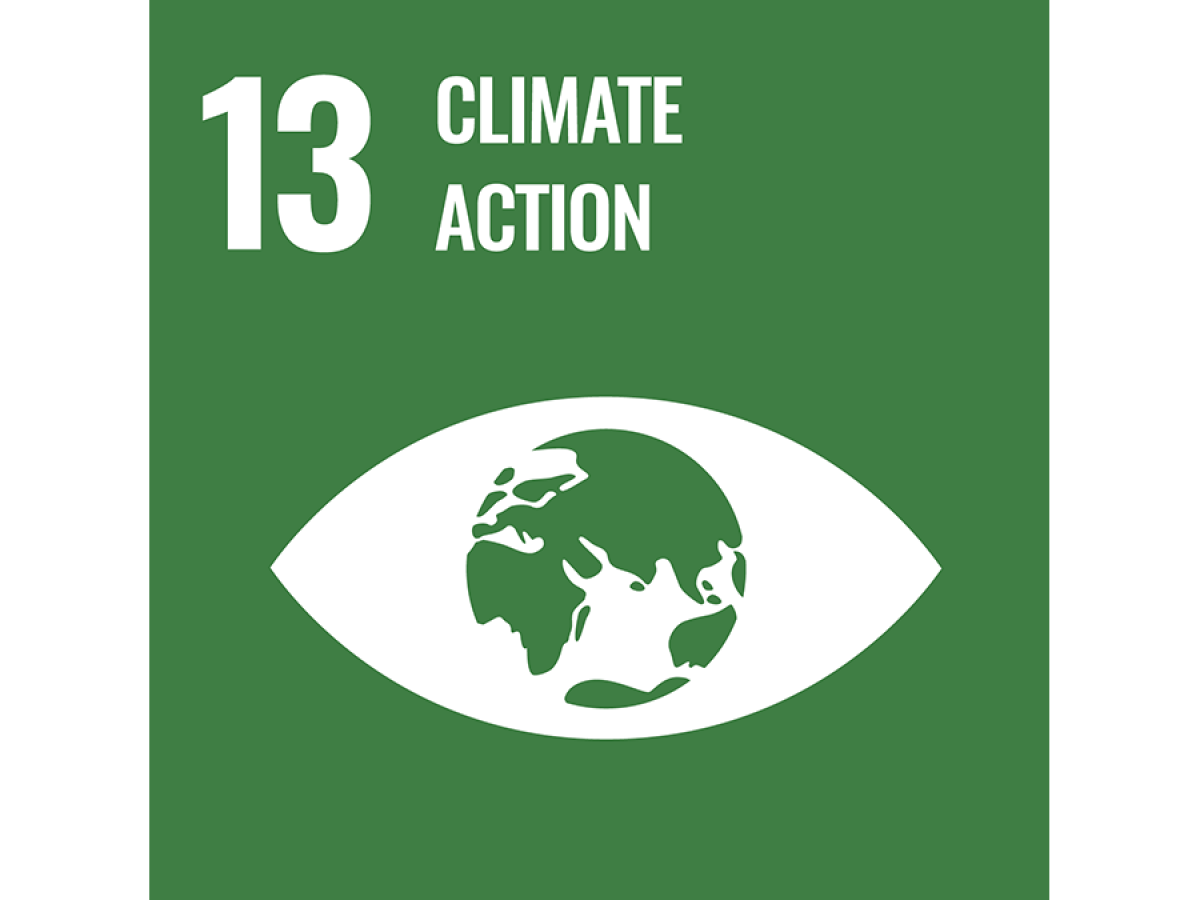 Goal 13: Climate action