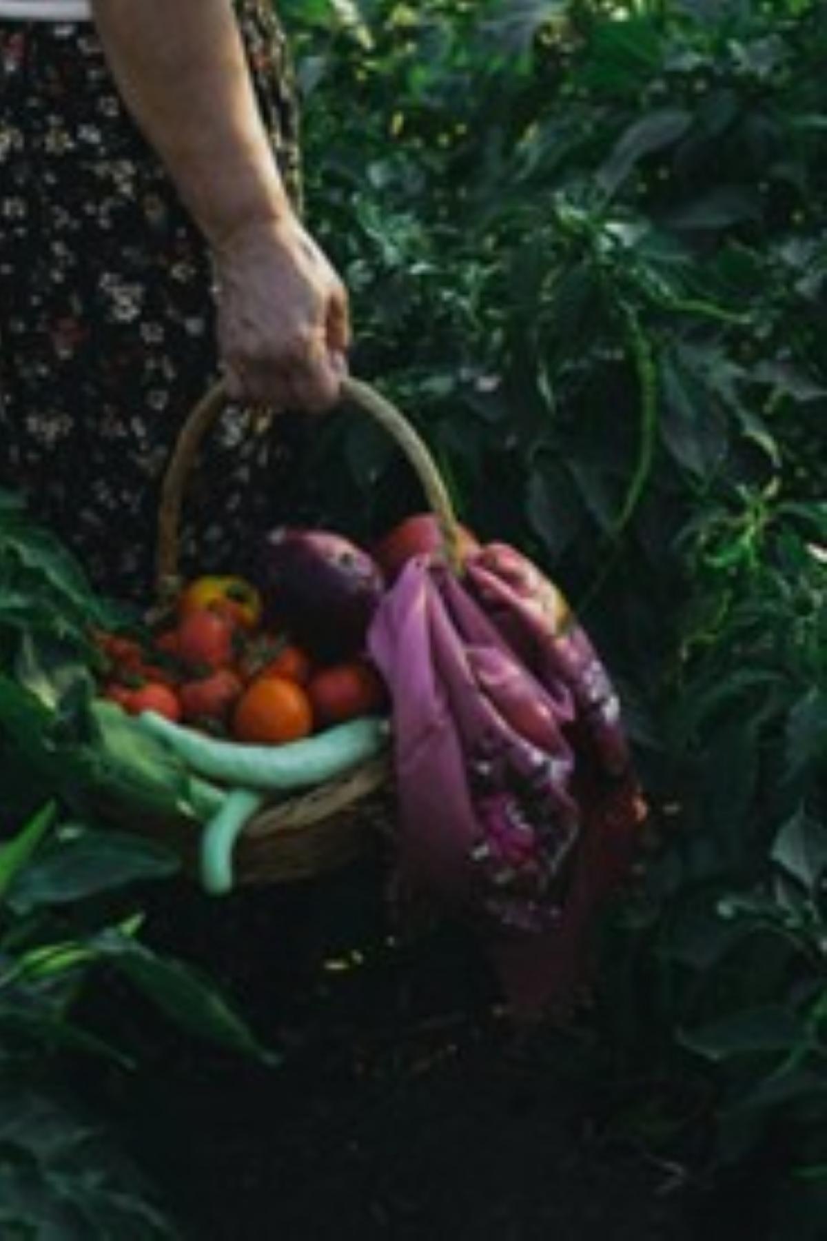 Farmer