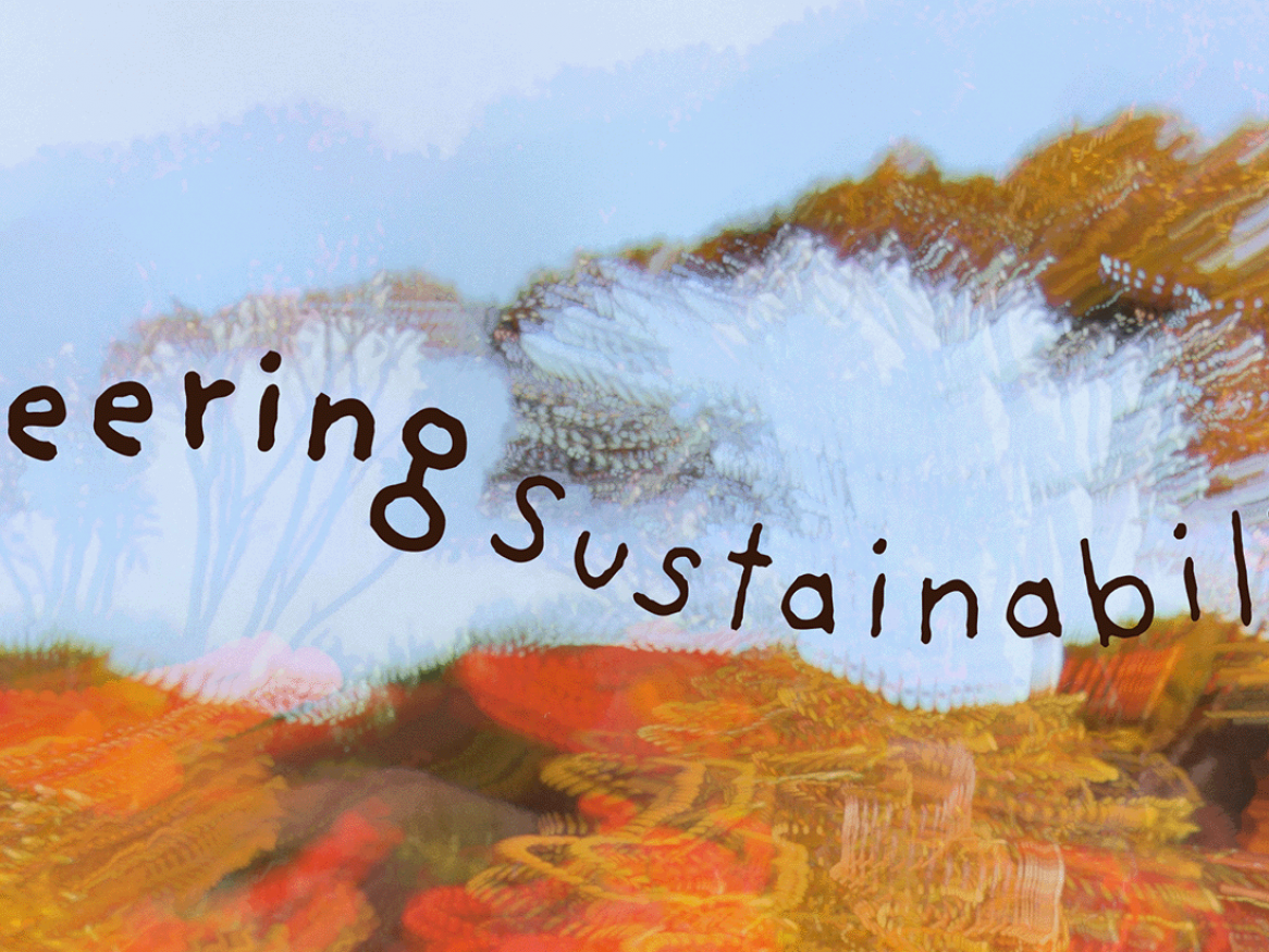 Steering Sustainability