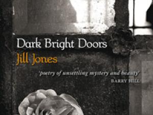 Dark Bright Doors