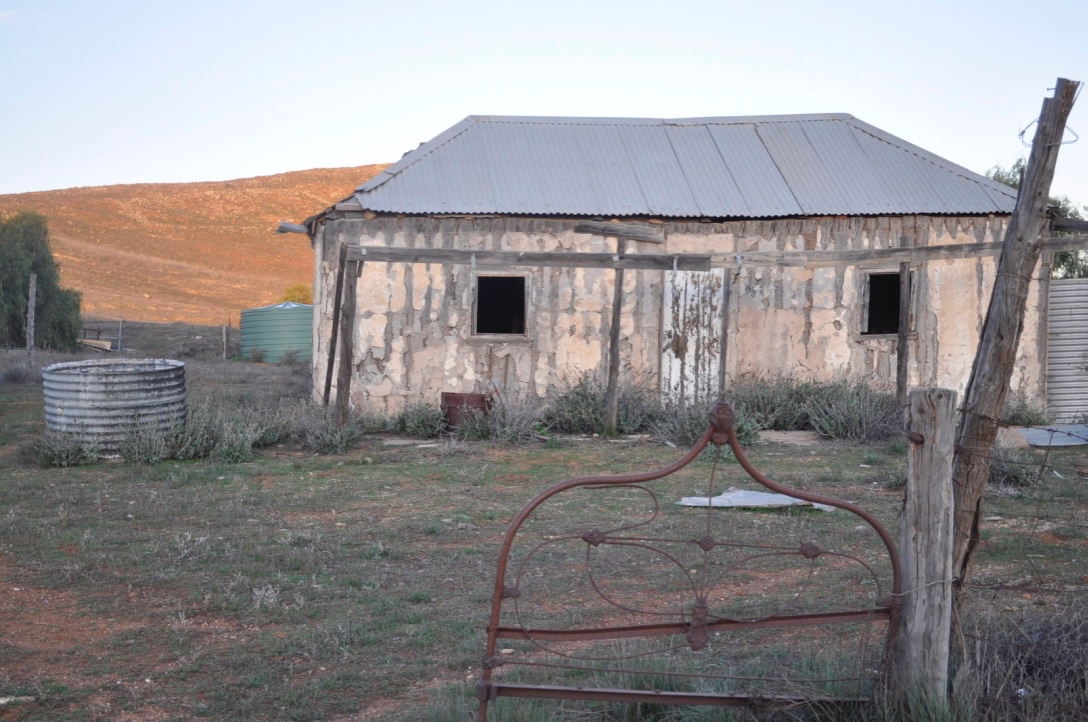 Oratunga sheep station