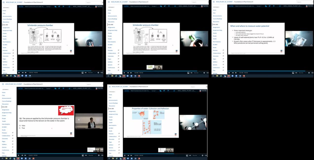 Students utilising two video inputs