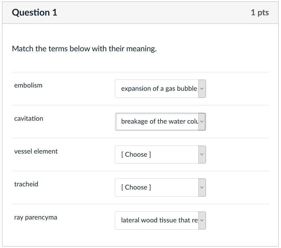 Cath quiz example