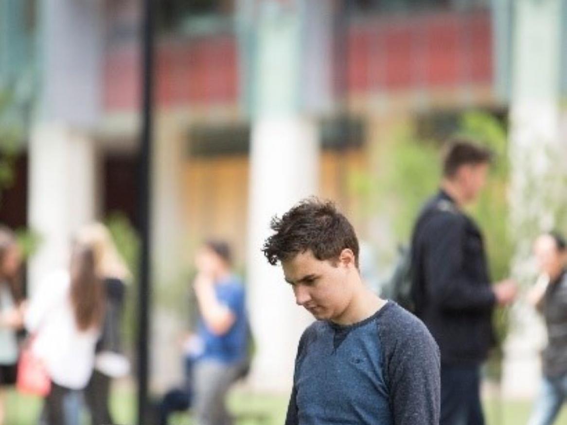 Academic Program Reviews