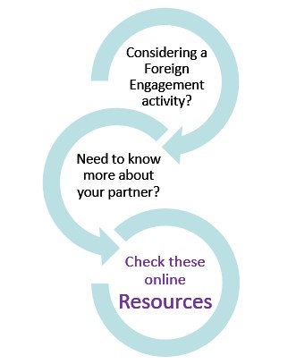 About your foreign partner diagram