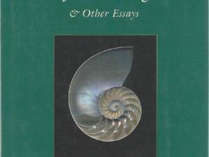 The Literature of Collecting and other essays - Richard Wendorf