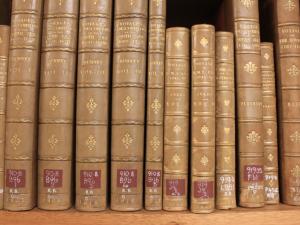 Voyages of Discovery and Survey