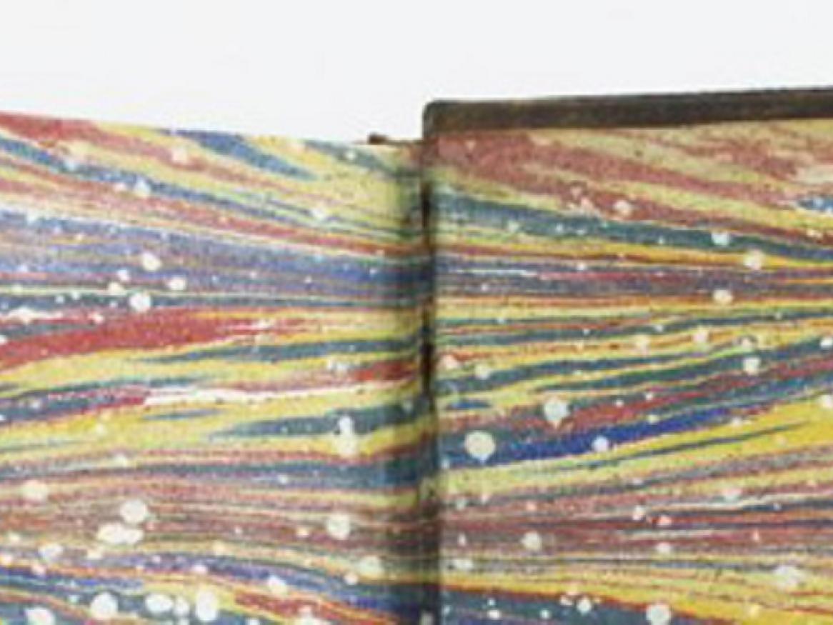 Brightly coloured endpapers
