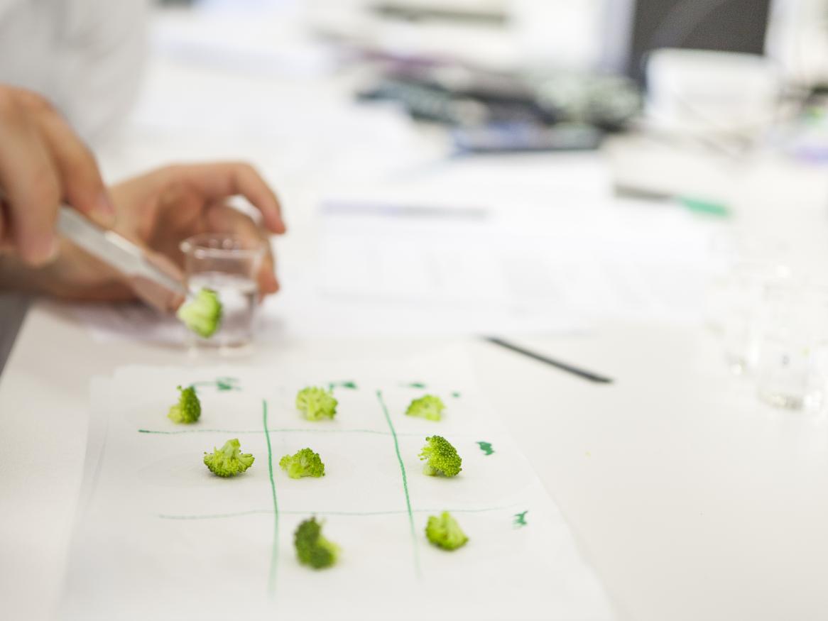 Research samples in lab