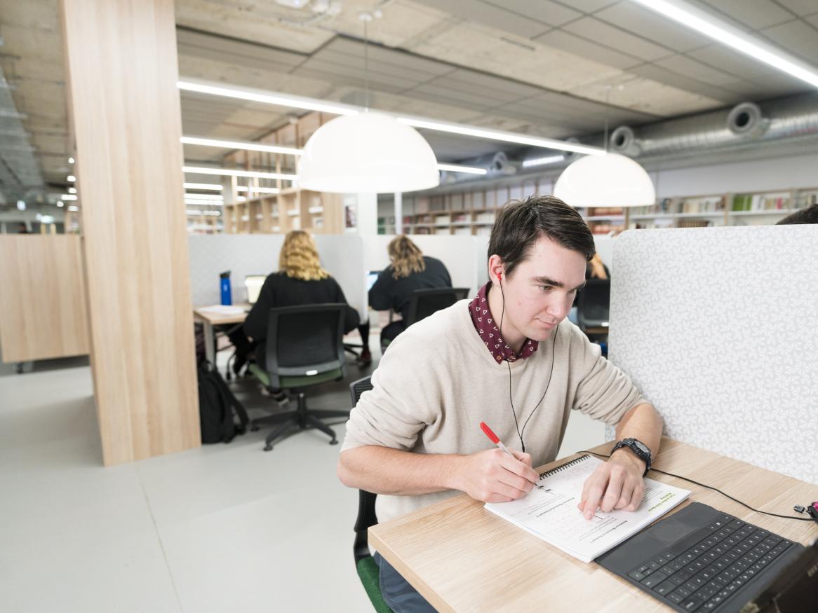 Individual study at the library