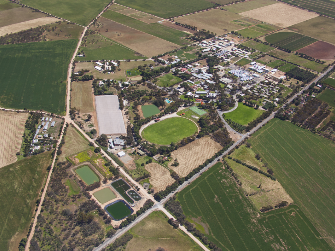 arial shot of roseworthy campus