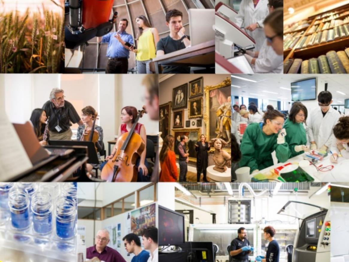 A collage of images from across the University of research and teaching scenarios