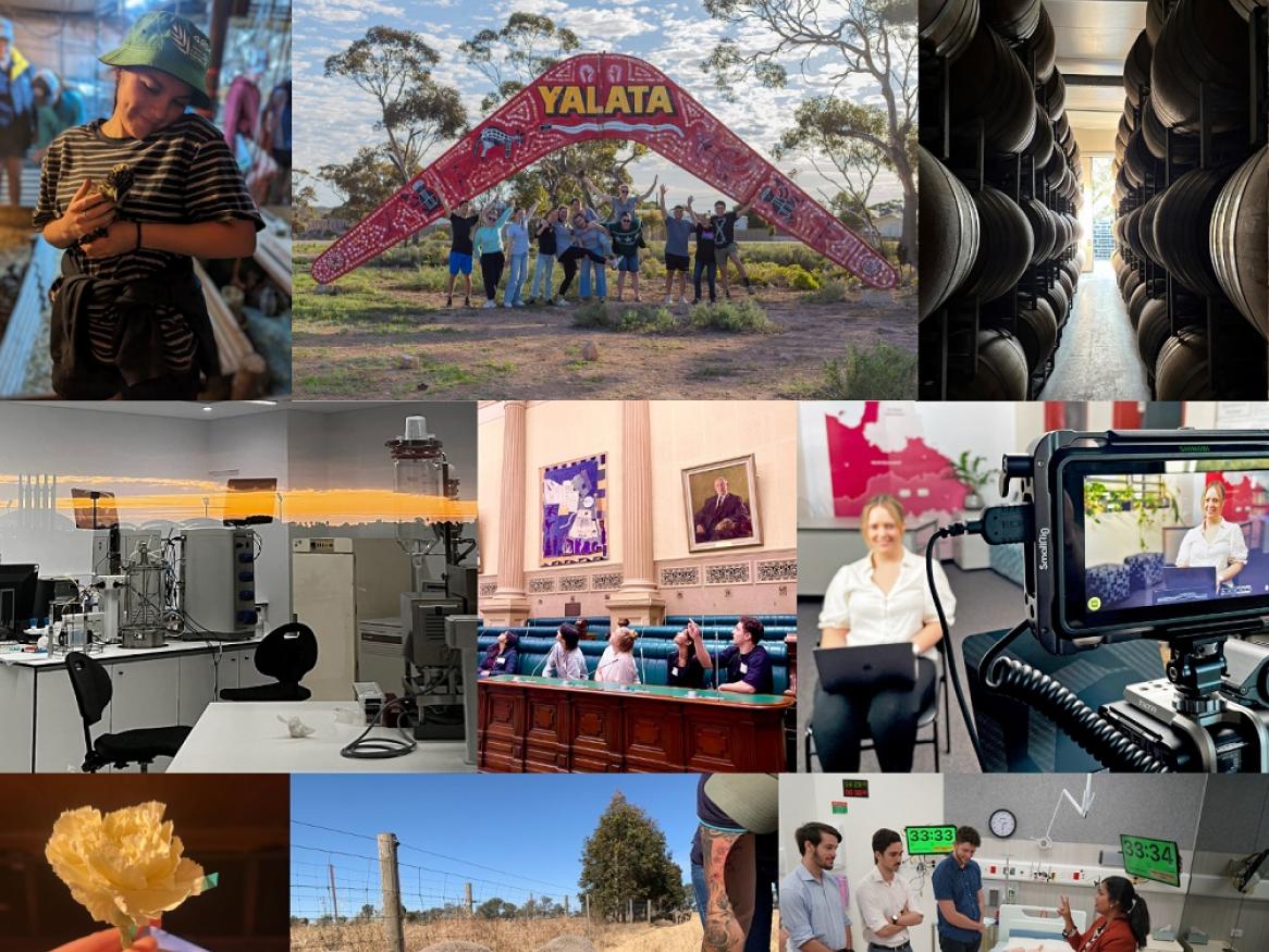 A collage of some of the 2024 submissions