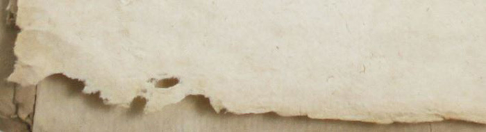 white or natural white parchment paper