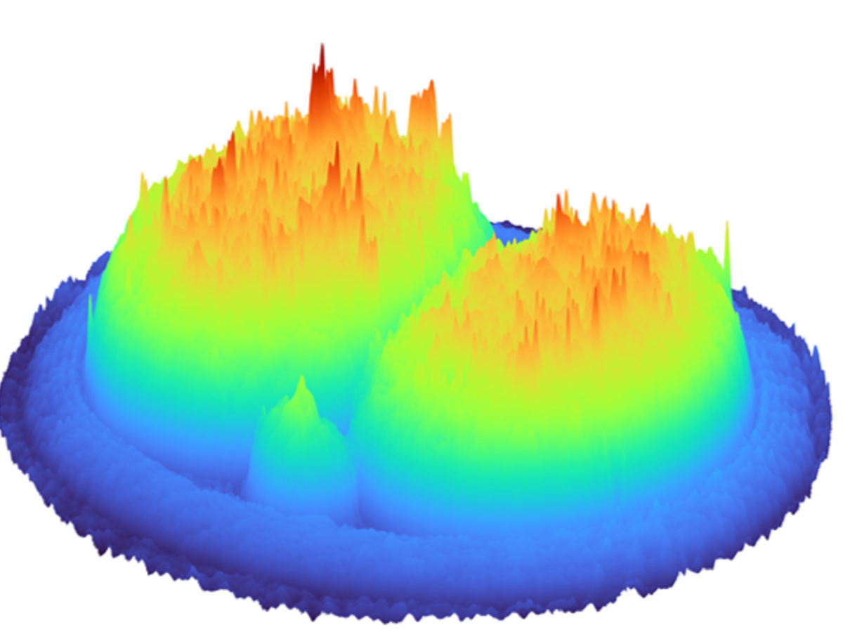 A 3D hologram of a 2-cell embryo generated by the digital holographic microscope.