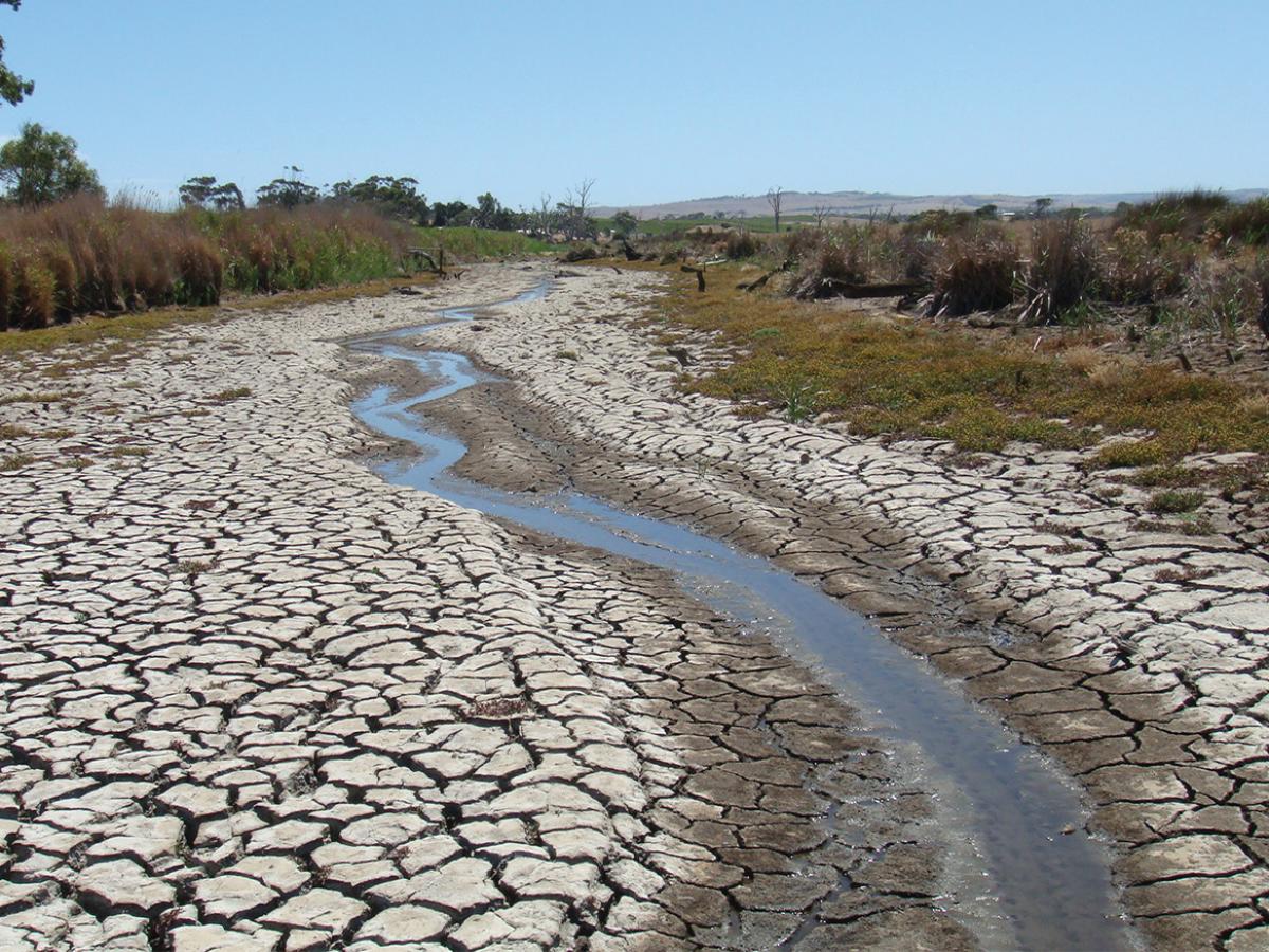 Global river water quality