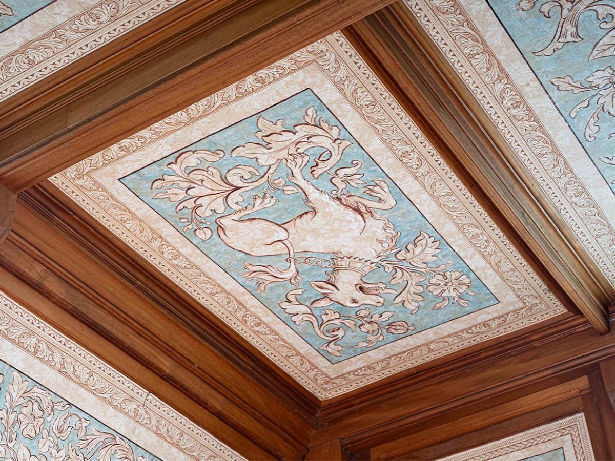 An artful ceiling