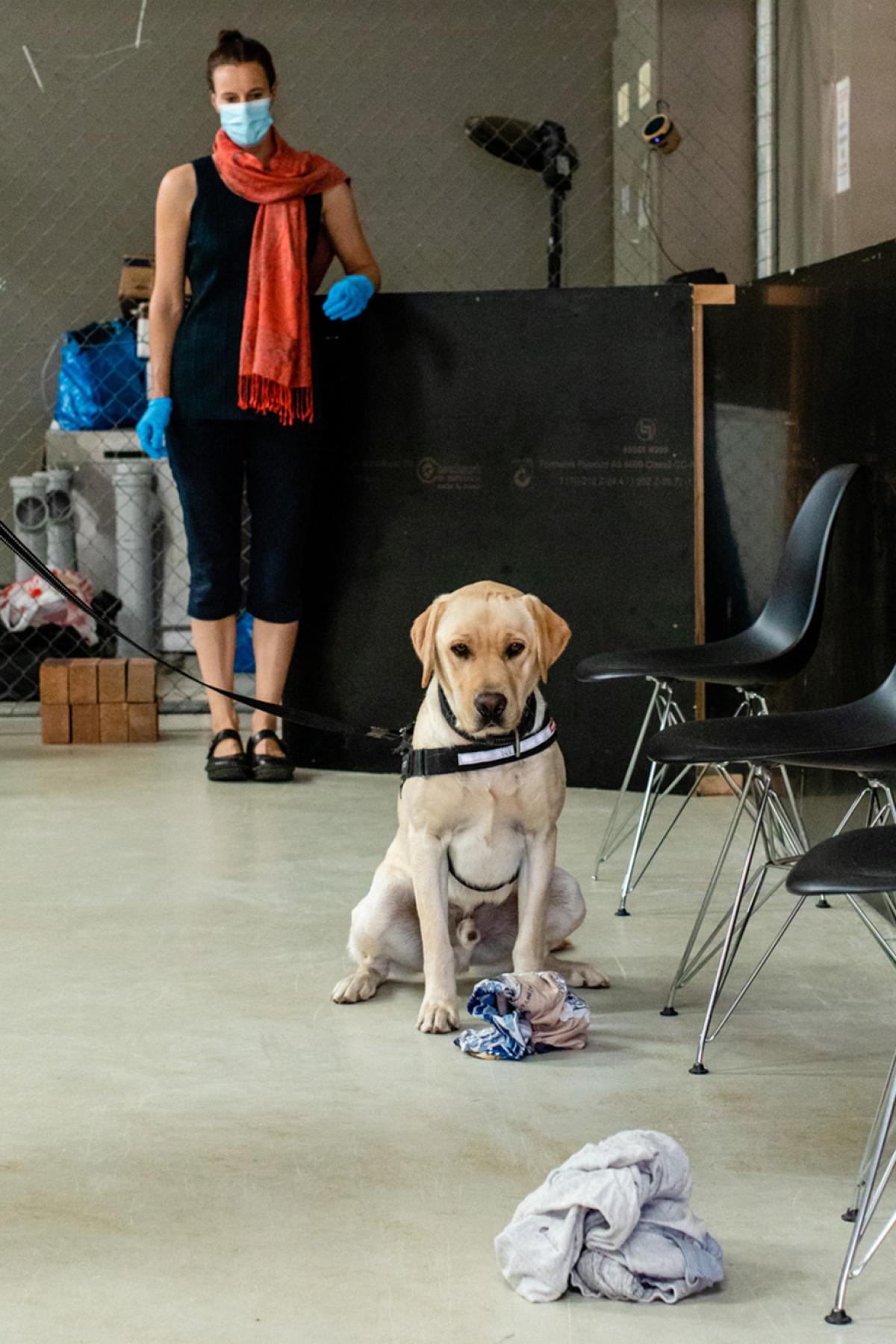 Anne-Lise Chaber and COVID detector dog