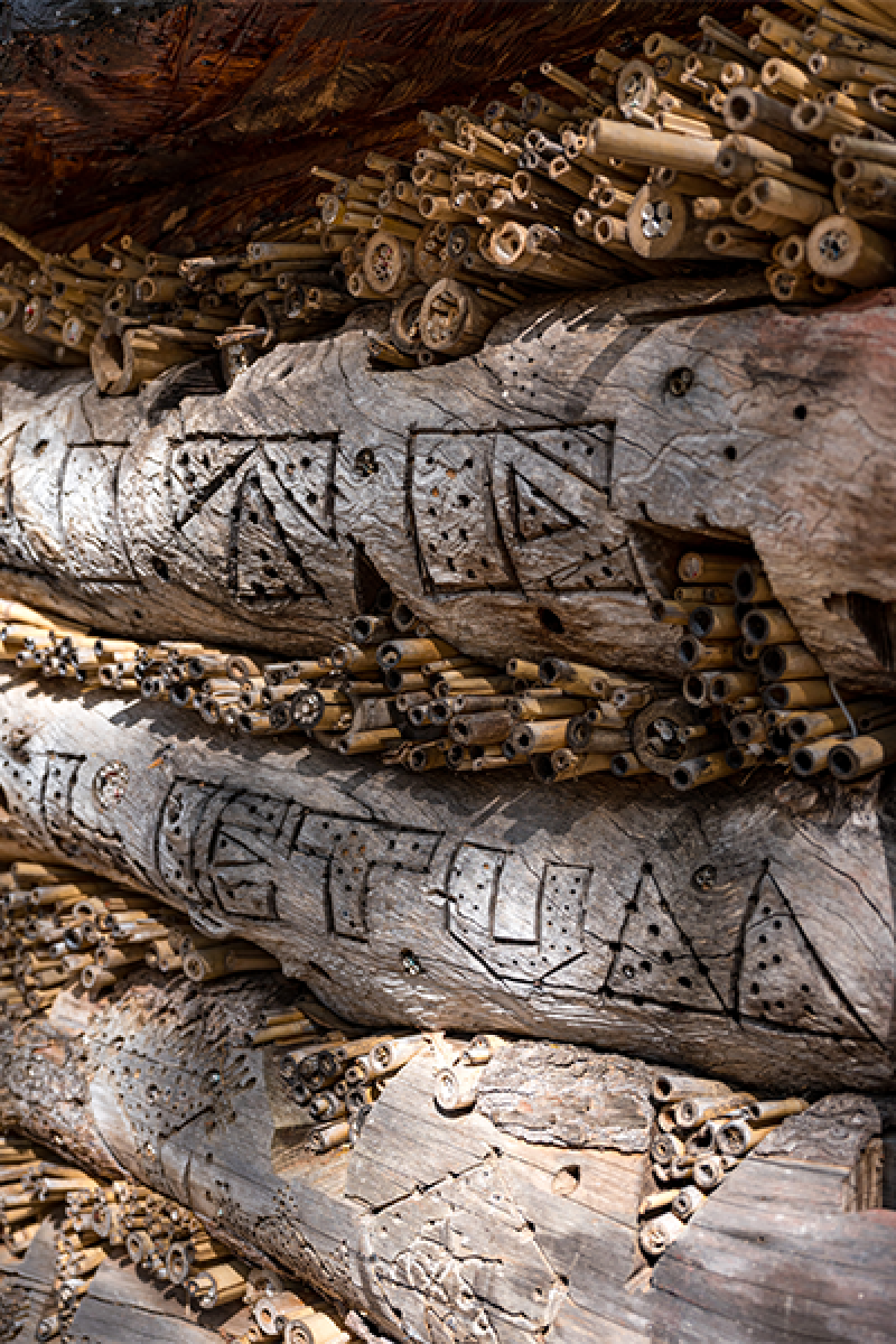 Native bee hotel