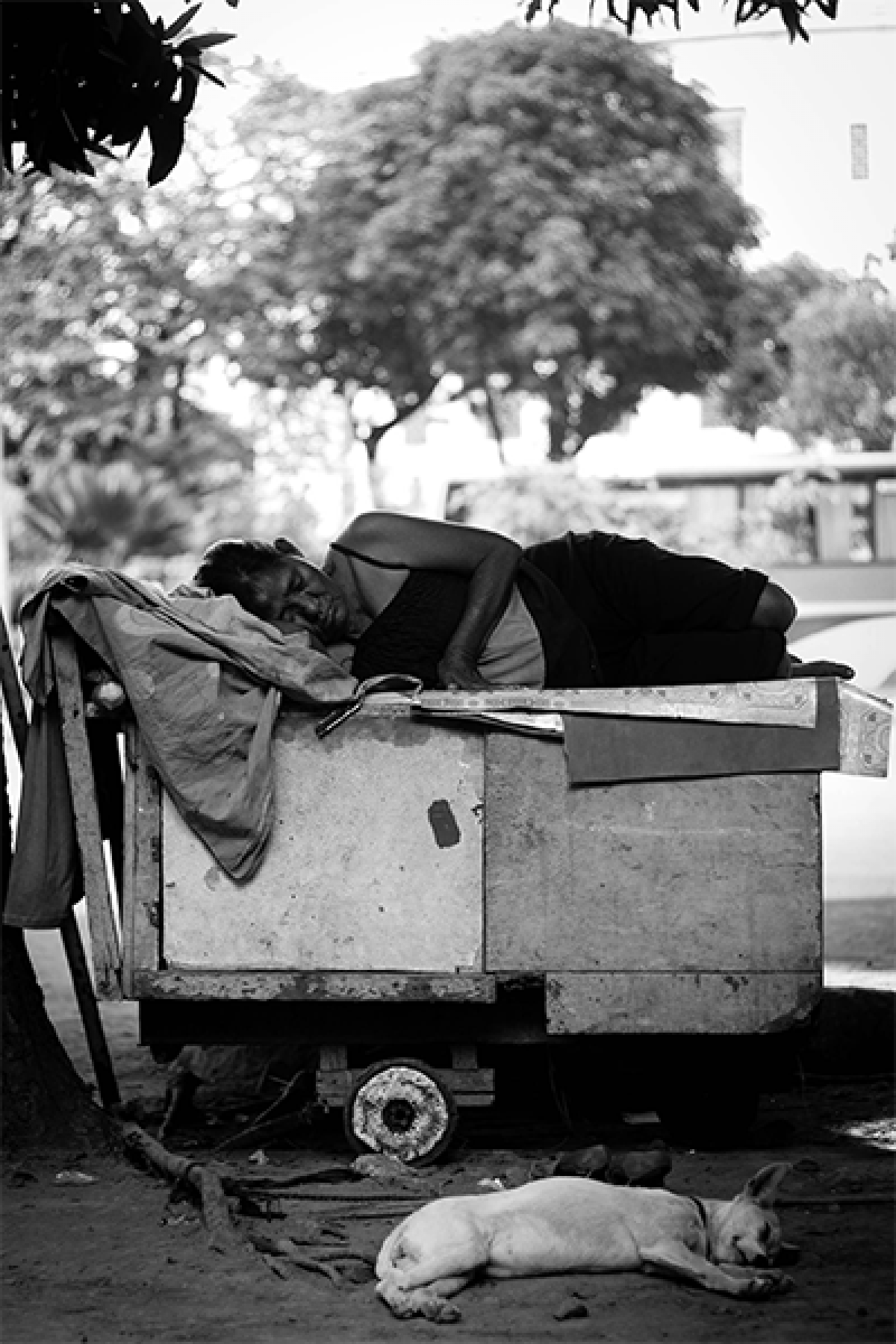 There needs to be enhancement of the wellbeing of vulnerable populations