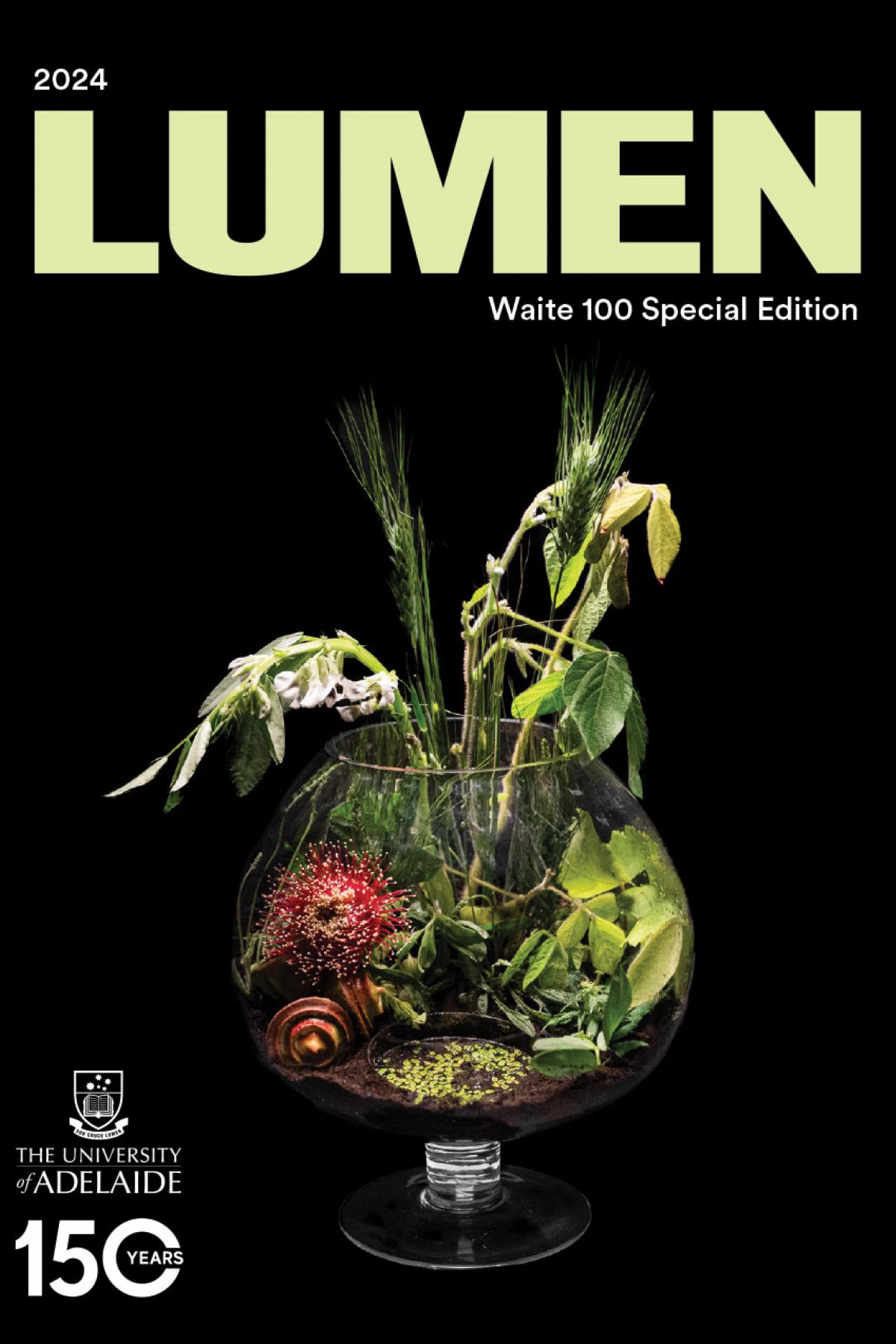 Lumen: Waite 100 Special Edition 2024