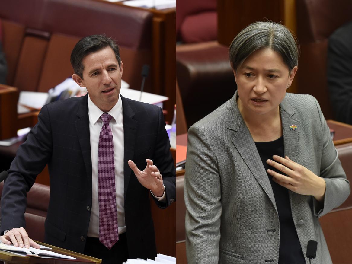 Senator Simon Birmingham and Senator Penny Wong