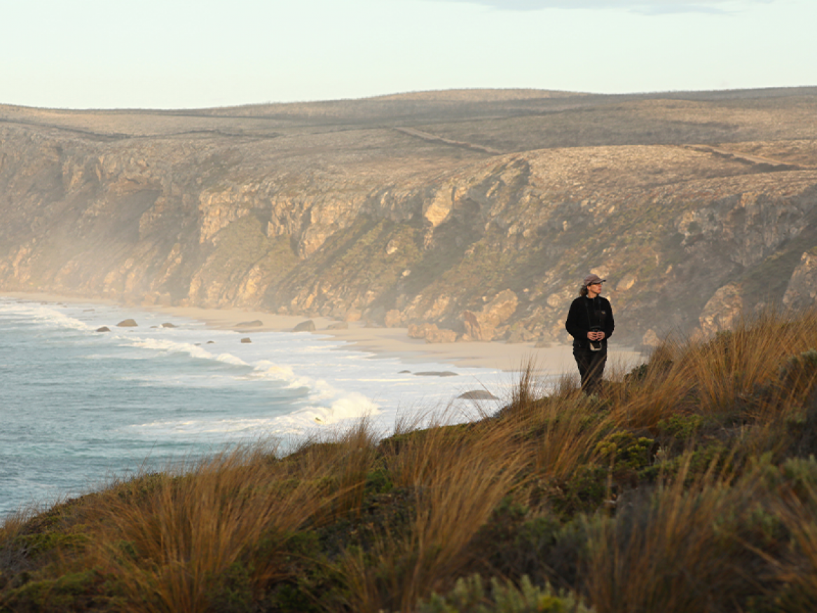 Bird surveys Kangaroo Island - Tom Hunt