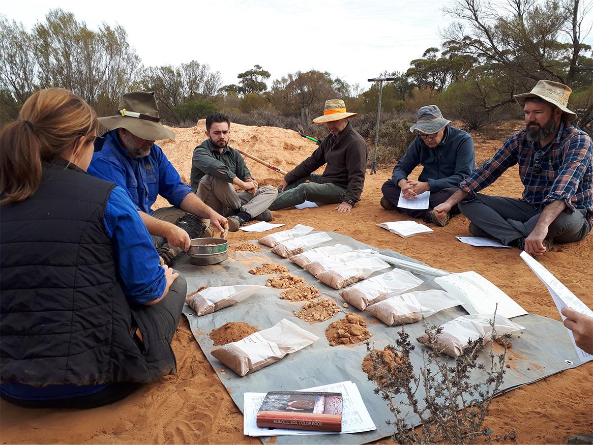 TERN training activity