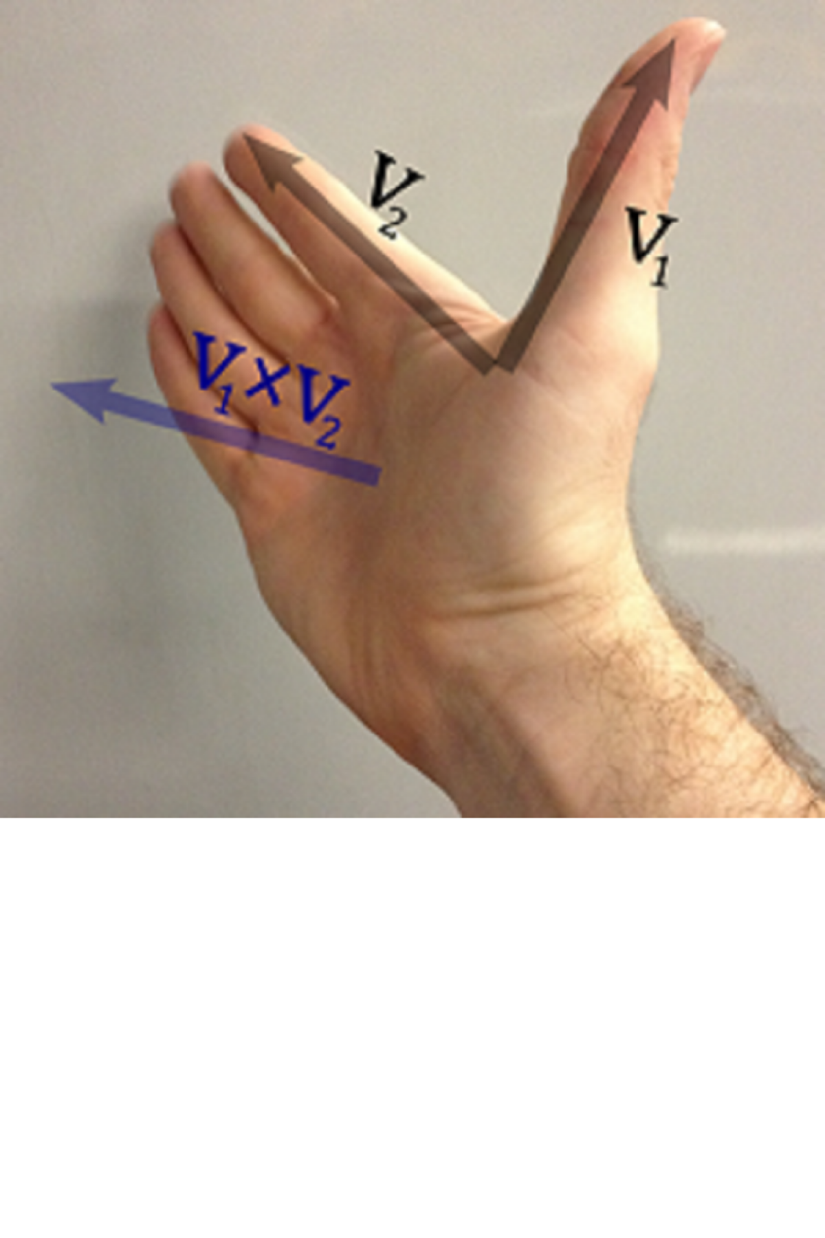 A hand with palm outstretched and thumb pointing sideways. An arrow on the thumb is labelled v1, an arrow on the index finger is labelled v2, and an arrow pointing perpendicularly outwards from the palm is labelled v1 cross v2.