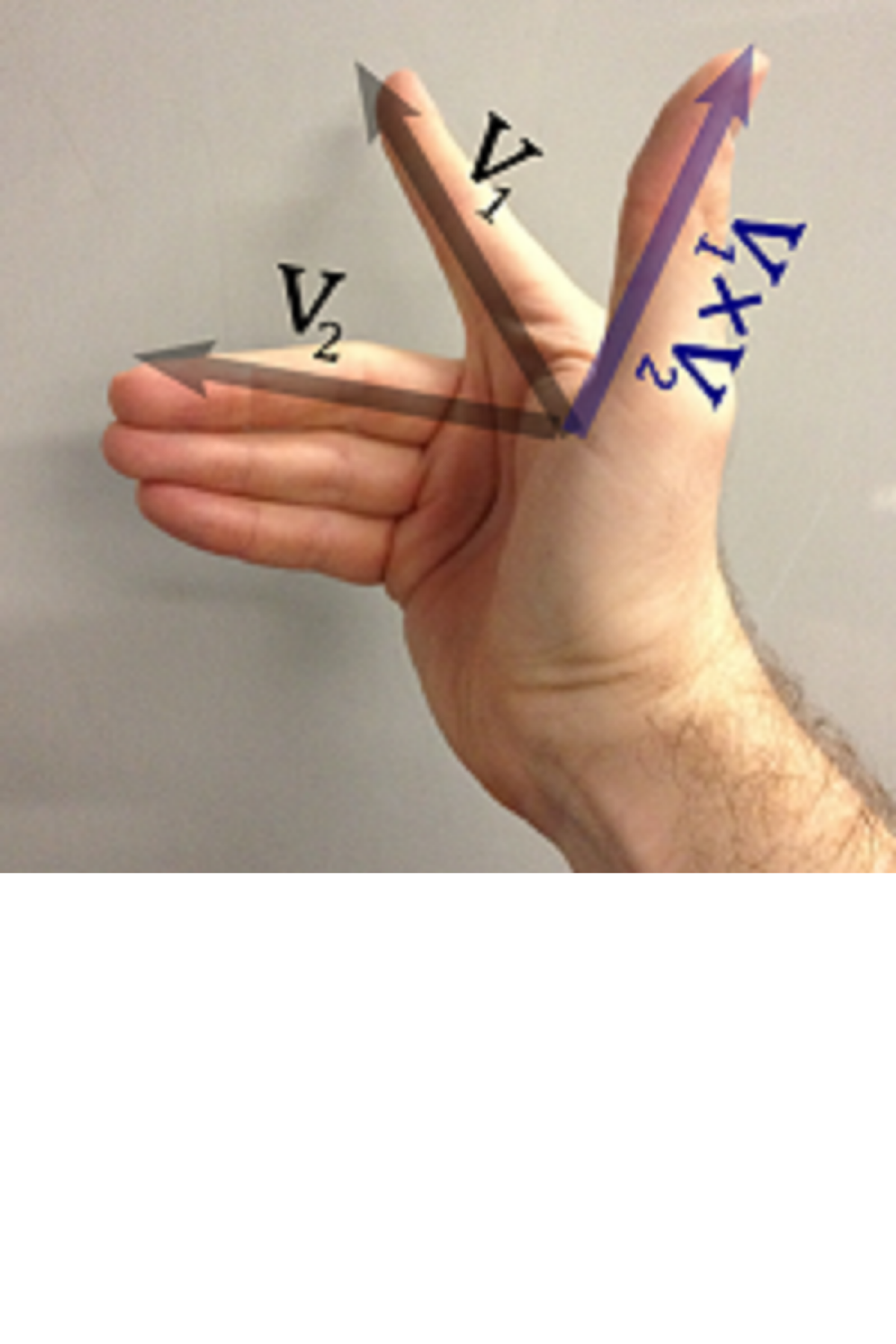 A hand with thumb and middle finger stretched in three directons, and the remaining fingers stretched in another. An arrow on the index finger is labelled v1, an arrow on the remaining fingers is labelled v2, and an arrow on the thumb is labelled v1 cross v2.