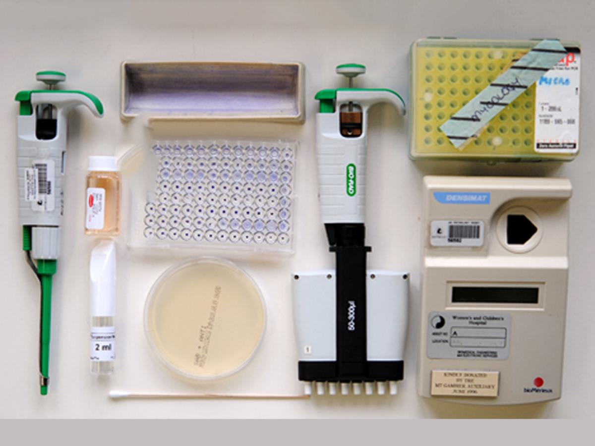 Laboratory Methods Mycology University of Adelaide Laboratory Methods Mycology University of Adelaide