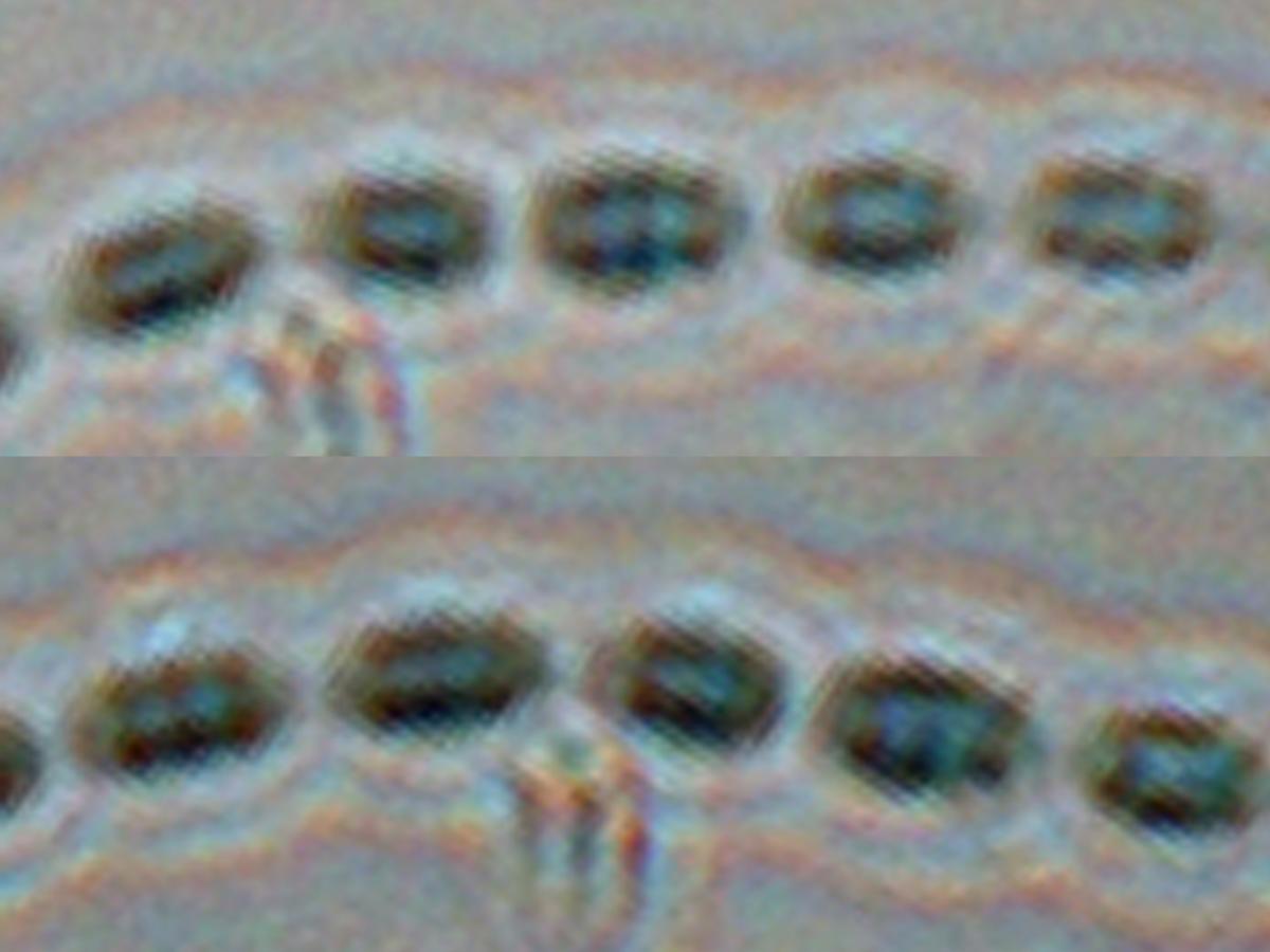Unknown 25 microscopy - 3