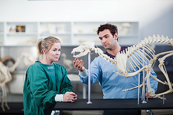 Veterinary Health Centre