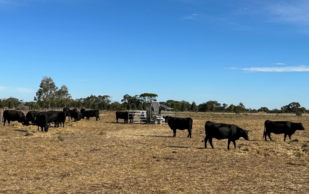 Methane breath testing for a better future Newsroom University of