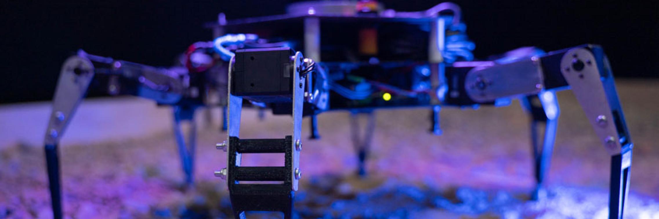 Cavex Robot in a sandpit