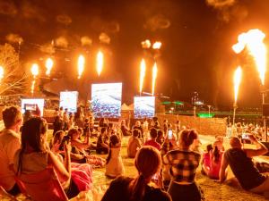 Cinematic Firework Display