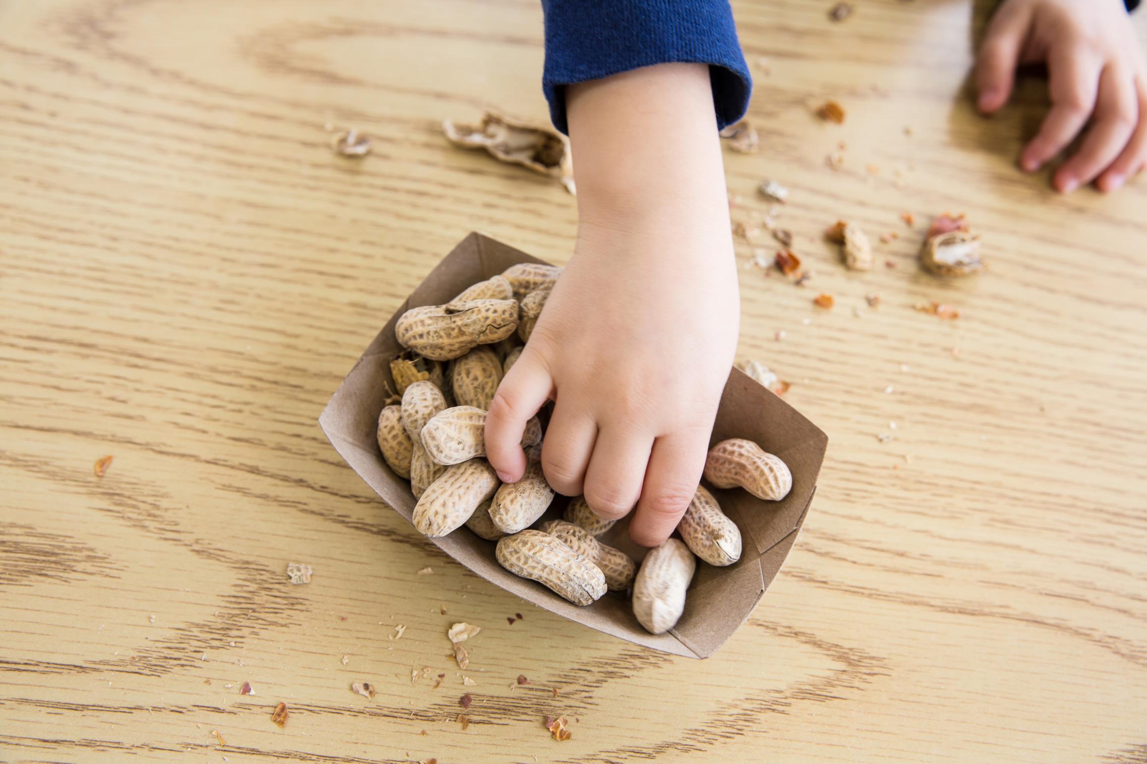 Peanut allergy treatment can be safer with appropriate cotreatments