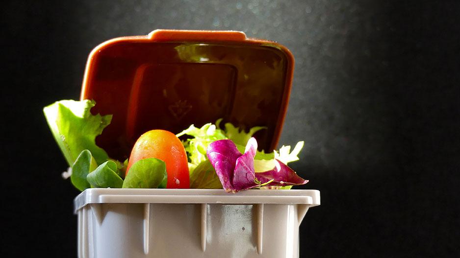 Image of a household food waste bin