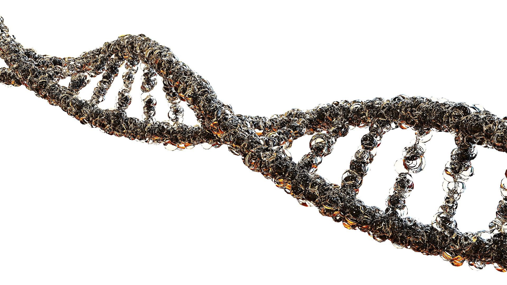 Image of a DNA strand