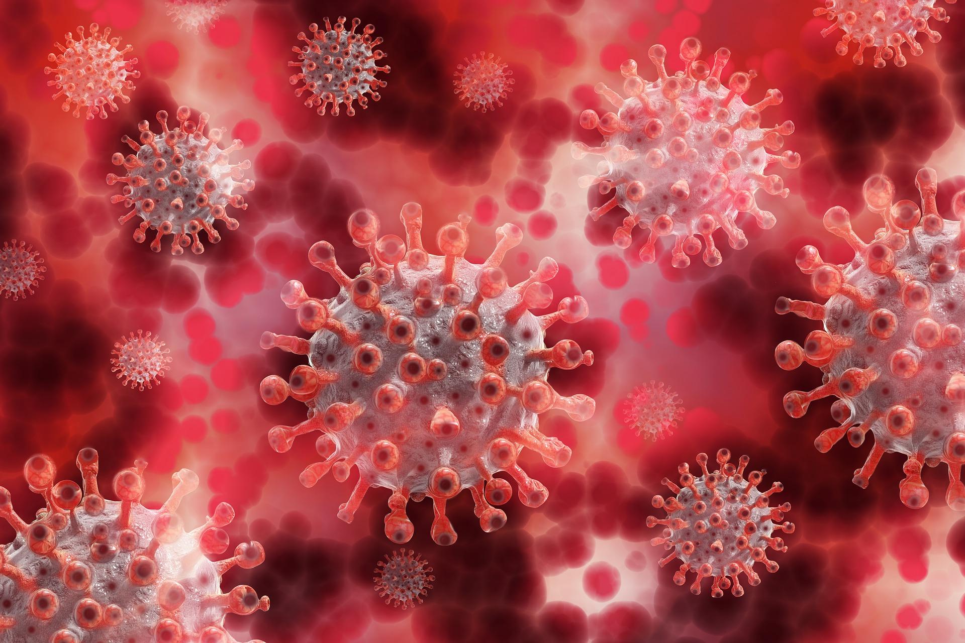 Image of (up close) pink corona virus 
