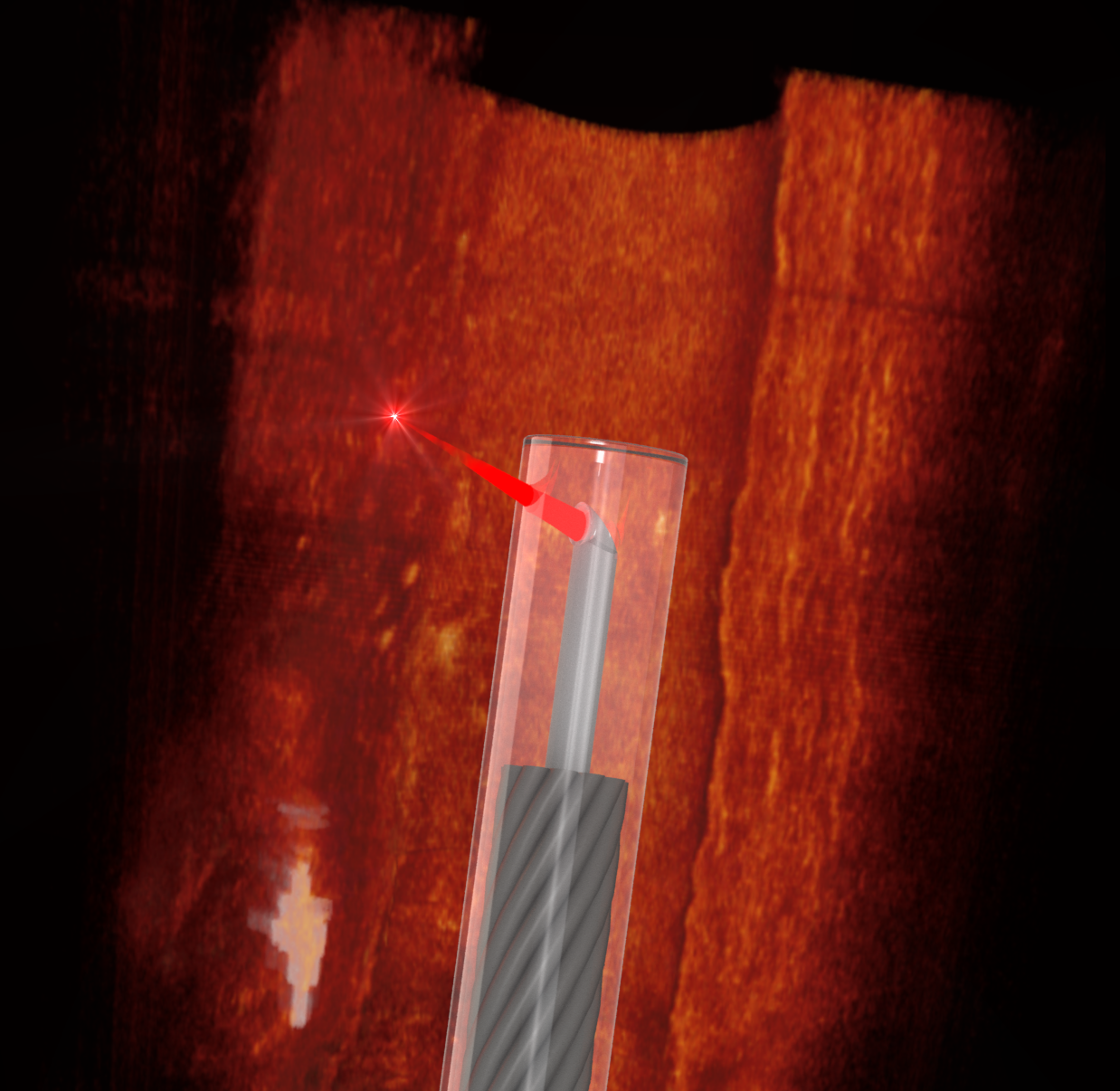 Ultrathin 3D printed endoscope imaging an artery_credit_ Simon Thiele and Jiawen Li