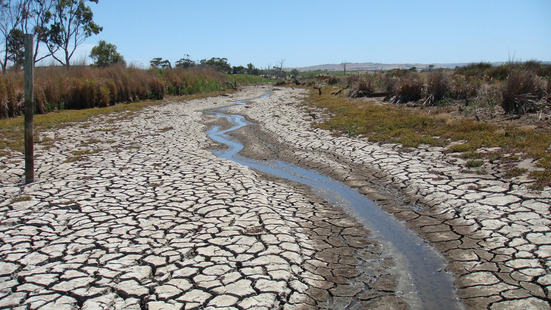 Dried and cracked soils 