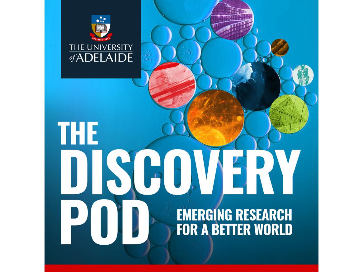 The Discovery Pod